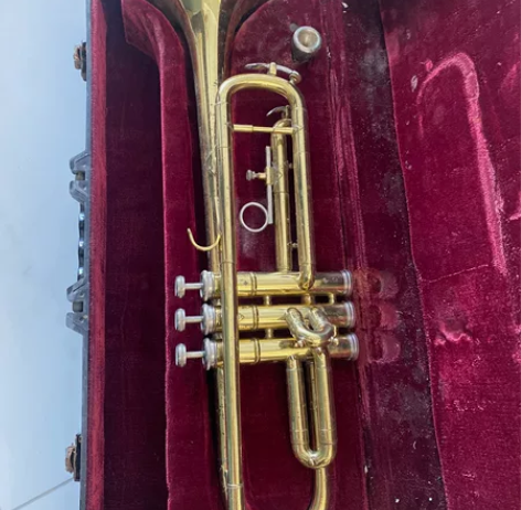 30年老古董，全铜小号，800自提 感兴趣...