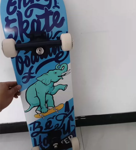 dbh滑板全新专业滑板80cm专业级滑板双...