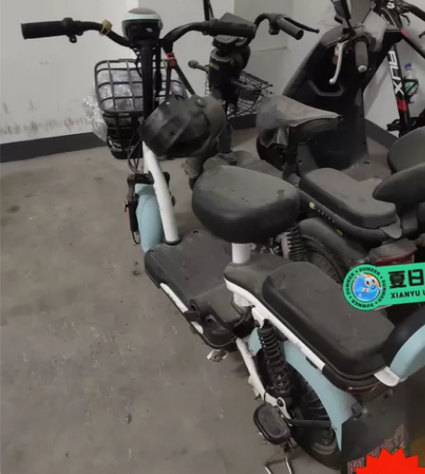 芜湖鸠江区镜湖区出闲置电瓶车 电动车 放了...