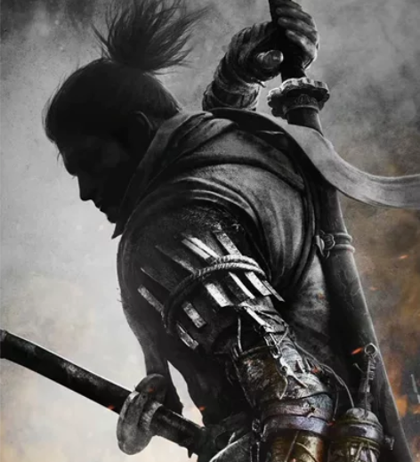 steam只狼，一件自己steam入库 标...