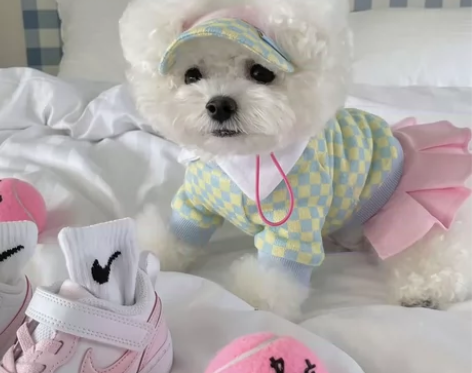 实体店清仓出全新的INS风秋冬韩国棋盘格网...