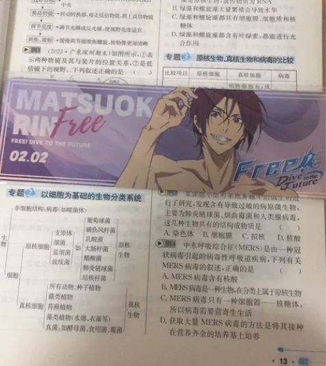 星河动漫凛雷射票 不包邮全新没拆全新￥10