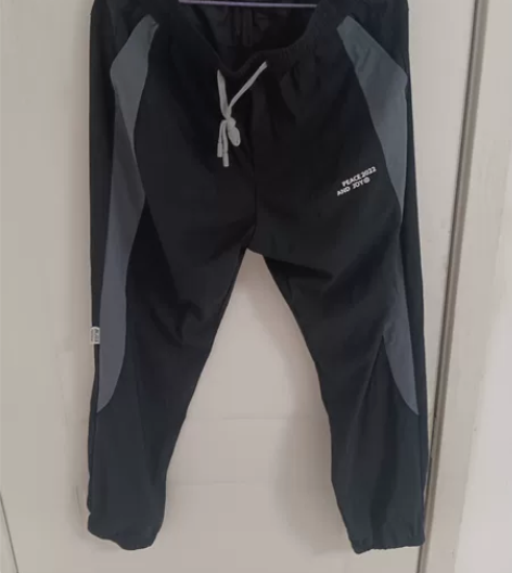 夏季休闲裤，冰丝裤 全新，吊牌还在 买来不...