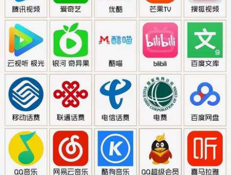 多种会员充值。2月28日价格:爱奇艺一个月...