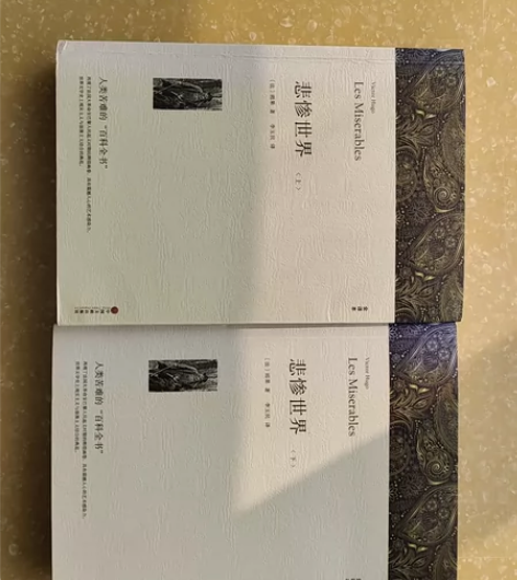 悲惨世界，两本全。6成新，原价68 感兴趣...