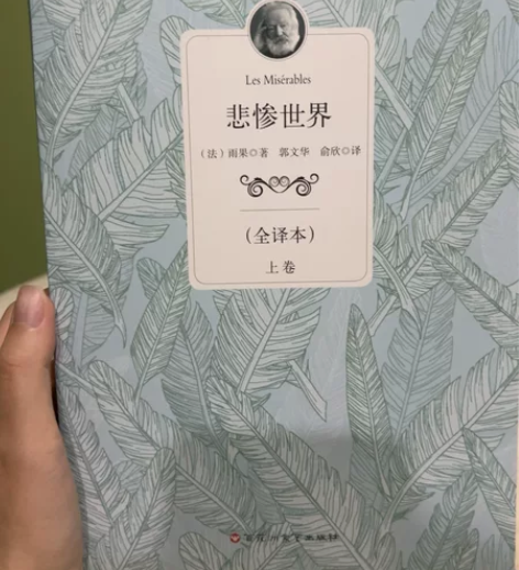 悲惨世界 正版全新悲惨世界（上、下册）  ...