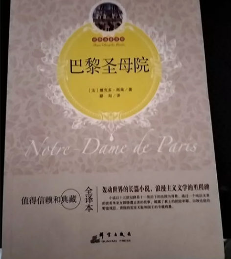 巴黎圣母院(全译本)/世界名著百部 感兴趣...
