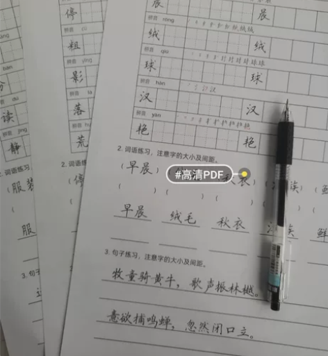 小学硬笔书法楷书考试卷面书写提分练习店子文...