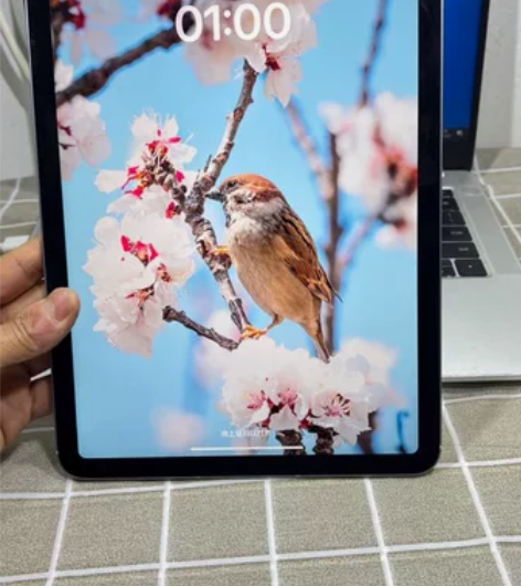 充电12次2020款Air 4 64G  ...