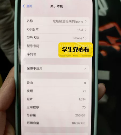 iPhone 13 256g内存,电池88...