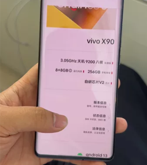 ViVOX90   8+256G  电池9...