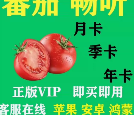 蕃茄畅听vip正版共享会员365天180天...
