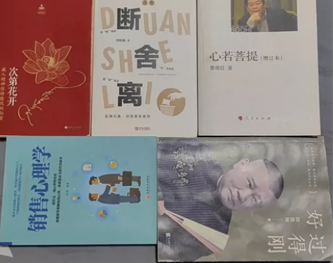 个人闲置书籍，除了封面有轻微痕迹，里面跟新...