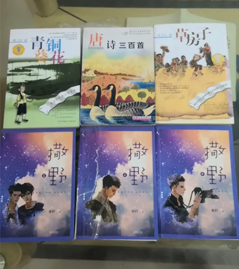 出售几本书籍，需要的联系我哦：青铜葵花，幽...