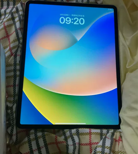 iPad pro 12.9寸 2020款 ...