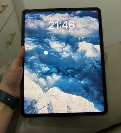 出自用ipad pro2021版12.9英...