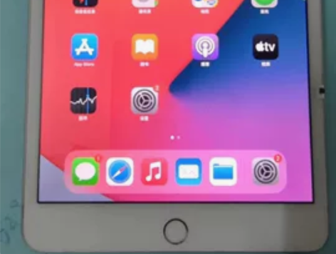 非诚勿扰 ipad mini4  ，外观成...