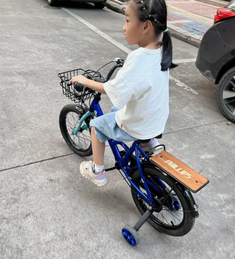 菲利普山地车自行车变速成人双碟刹车越野车,...