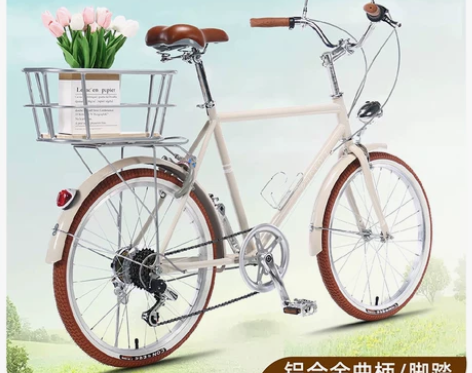 凤凰儿童自行车女孩8-10-12-14岁学...