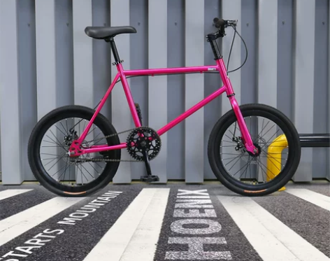 凤凰死飞碟刹自行车活飞单车简约小轮山地公路...