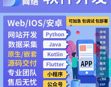 软件开发逆向破解xp模块开发瑞数逆向插件开...