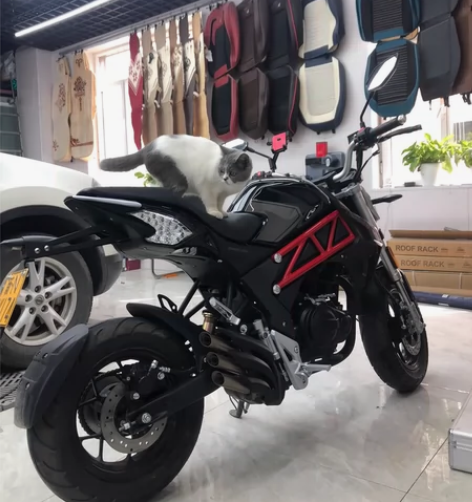 宗申150R去年三月份买的 才跑了两千多公...