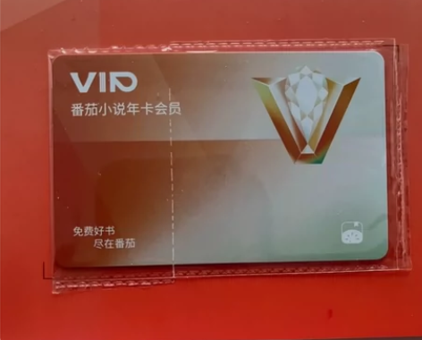 番茄小说会员+365天svIP会元 _无广...