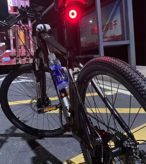 出自用沃雷顿红日300 才买一个月没骑过几...