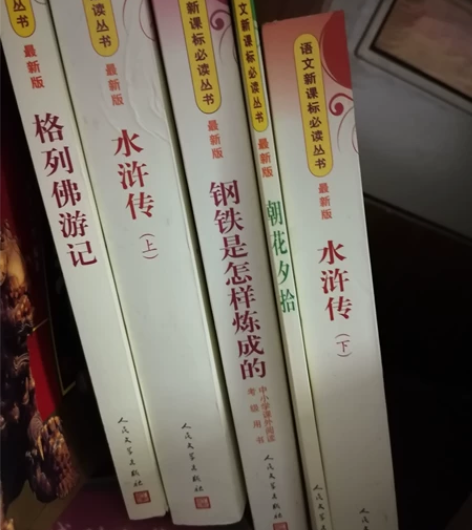 格列佛游记 钢铁是怎样炼成的 边城 平凡的...