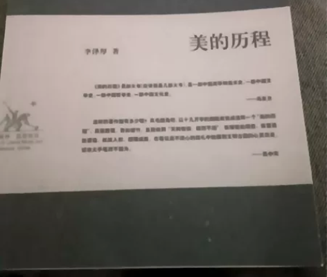 假货 复制品 美的历程(精)//李泽厚集 ...