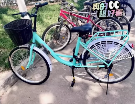 自行车清货 通勤自行车成人轻便自行车复古自...