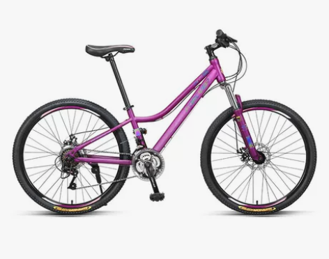 出官方旗舰店永久牌山地自行车变速女款 成人...