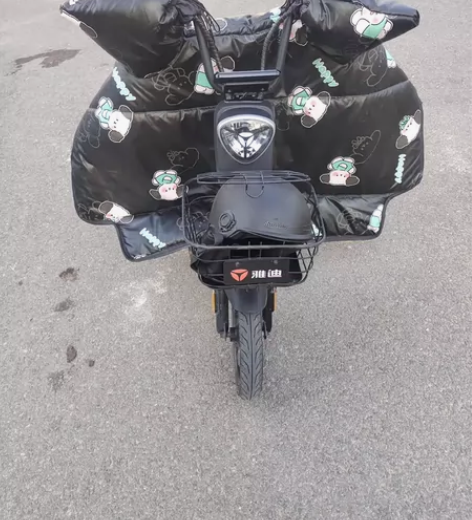雅迪乐骑，个人二手。 八成新，48V12A...
