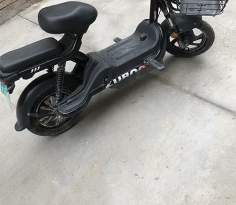 五星钻豹电动车，上下班骑了半年多，后来闲置...