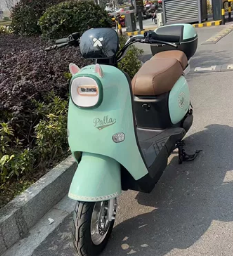 杭州同城转手新国标二手电瓶车，车子带黄牌正...