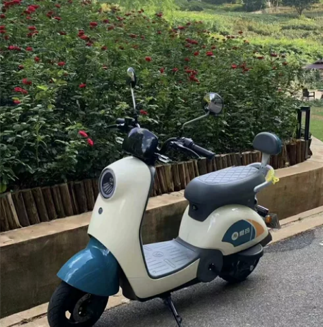 二手电动车雅迪爱玛款式品牌都有 9成新,外...