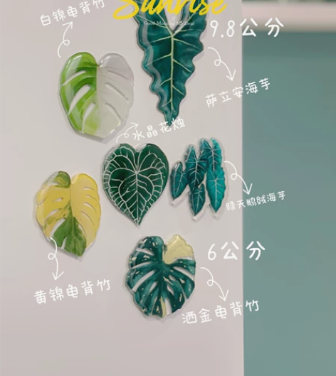 热植冰箱贴 一组 绿植爱好者居家装饰小品 ...