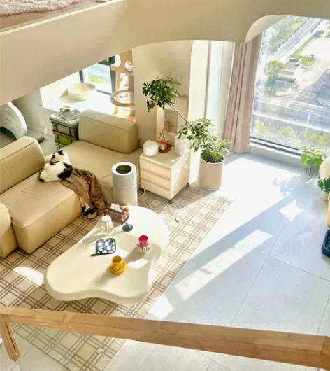 其他并没有做定制柜子，包括衣柜我也没有做定...