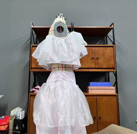 服装作业 衣服 综合设计 有款式图和效果图...