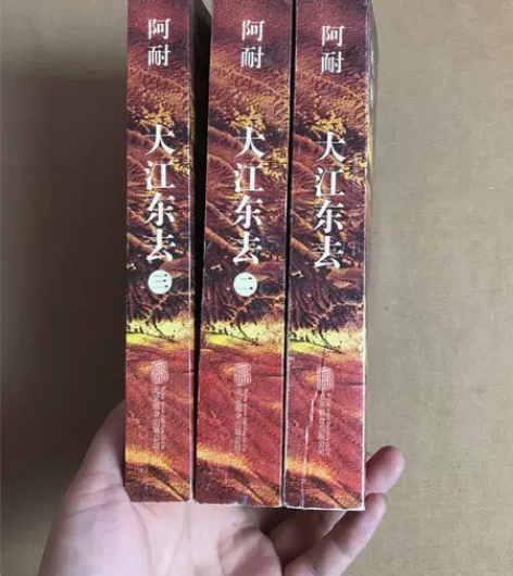 【正版二手】 大江东去(全3册) 阿耐 北...
