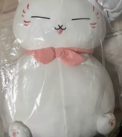 万代正品 夏目友人 猫咪老师 全新...