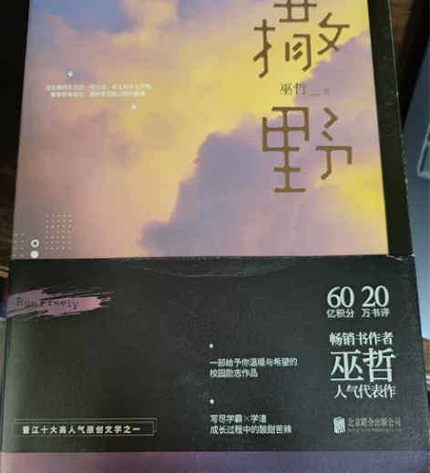 原耽撒野正版全套小说 蒋丞顾飞 青春校园 ...