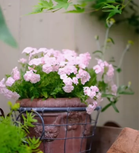 小花篮空壳，款式颜色可预订，回去直接插花就...
