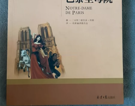 巴黎圣母院 十元不包邮不议价巴黎圣母院 感...