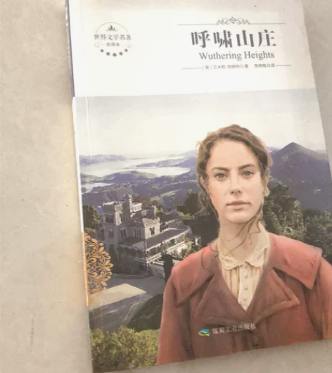 呼啸山庄(全译本)/世界文学名著 感兴趣的...