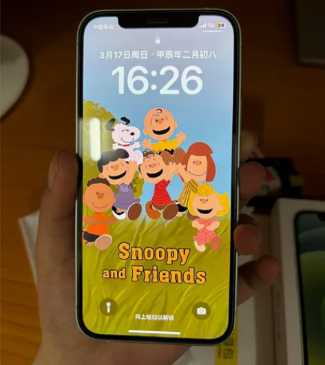 苹果12  iPhone 12 128G内...