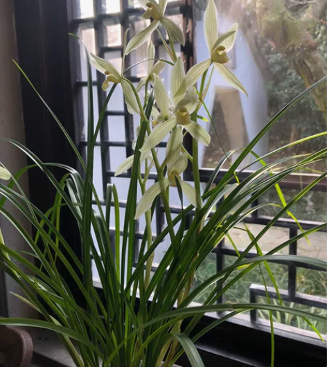 地理教材活动题答案整理 选择性必修三人教版...