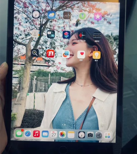 自用iPad 7代 2019 128GB ...