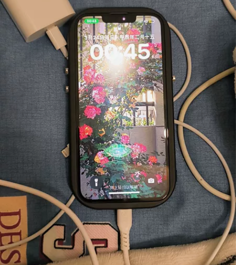 苹果14纯原功能全好，电池100，颜色很新...