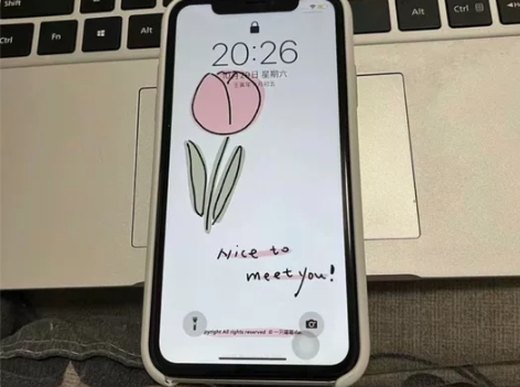 iPhone XR  128G  有面容，...